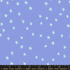starry dusk