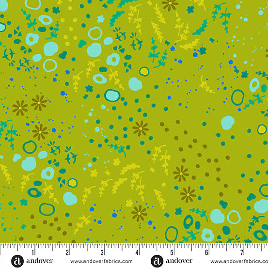 sun print toad equanimity