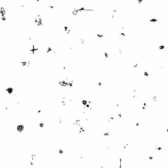 Microscopic view of various small particles and organisms on a white background.