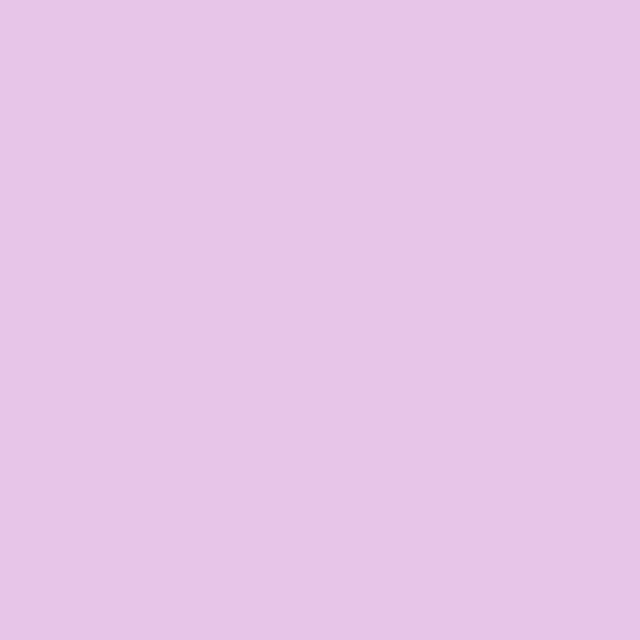 A light purple background with a white line.