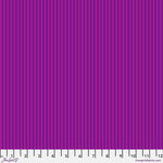 tiny stripes aster