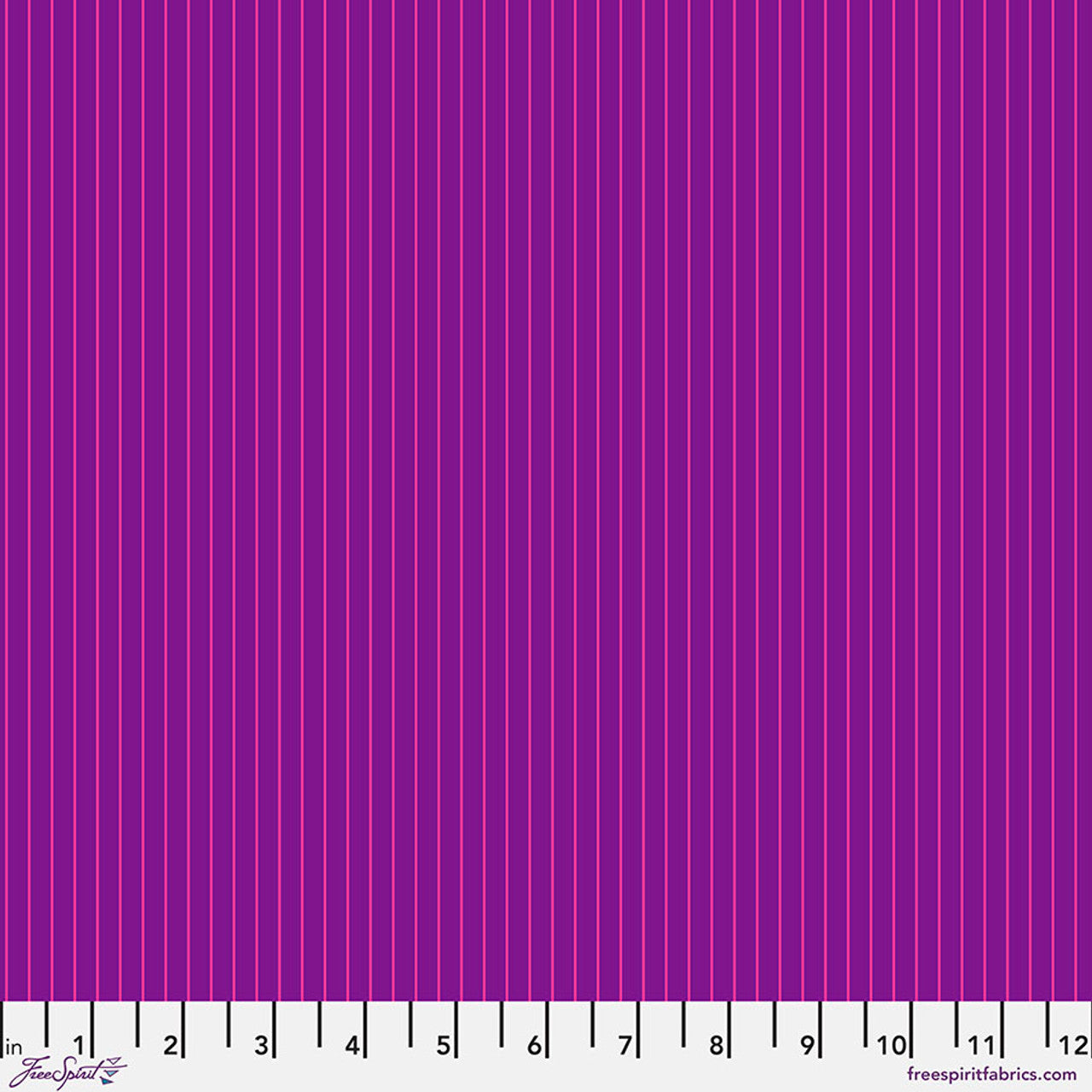 tiny stripes aster