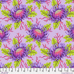 friends and anemones ultraviolet