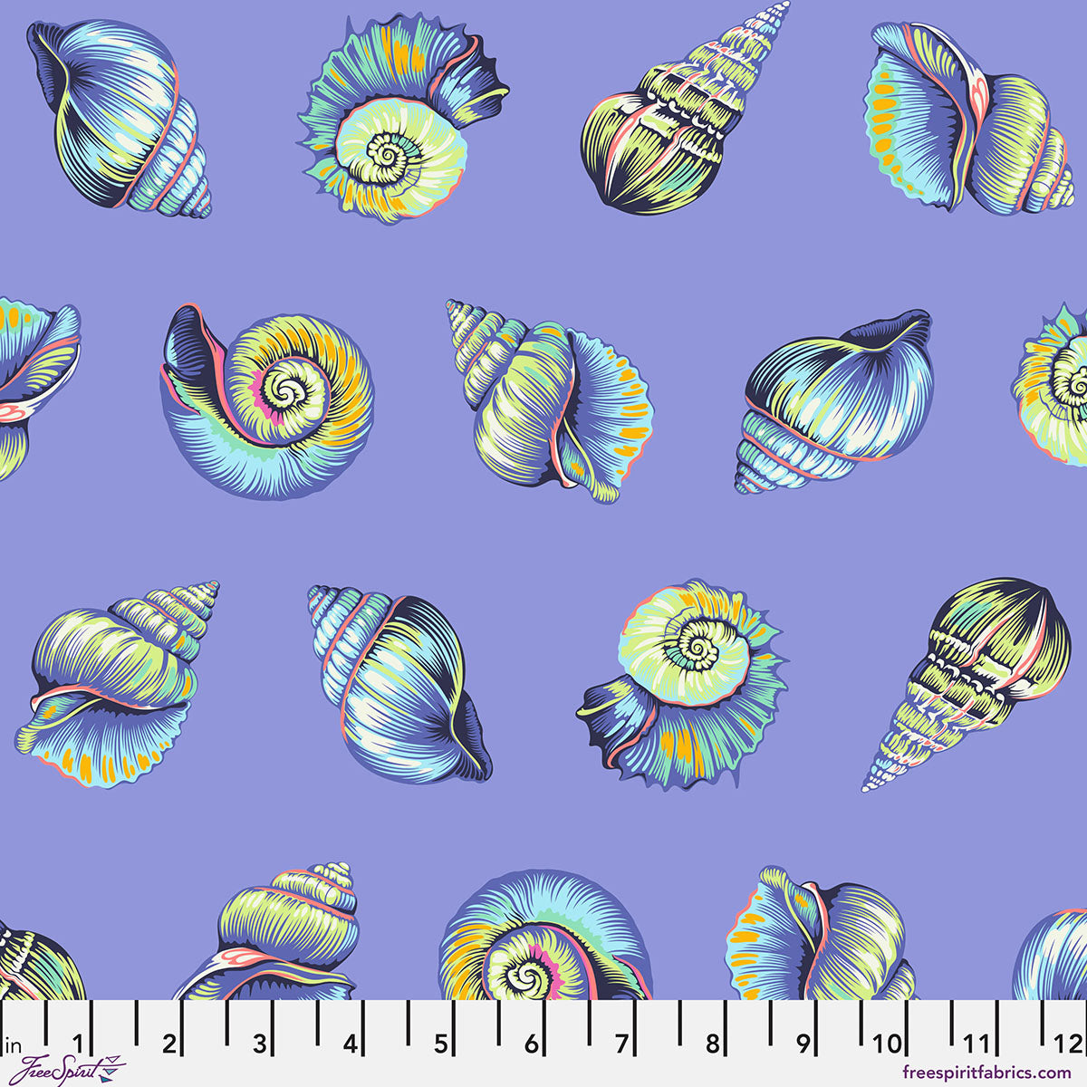 lil shelly marine