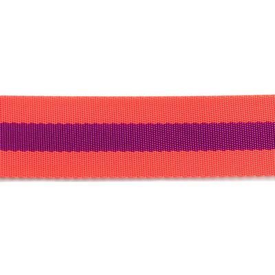 A red and purple striped ribbon is shown.