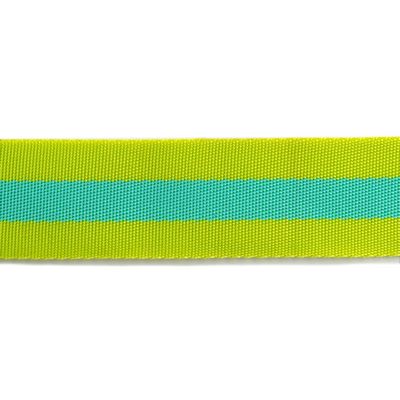 A green and blue striped ribbon is shown.