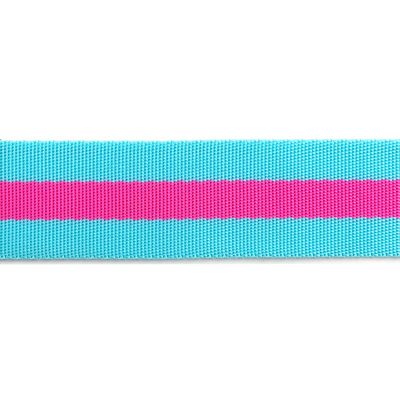 A blue and pink striped ribbon is shown.