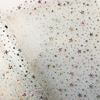 glitter stars