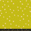 starry pistachio