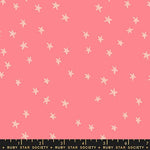 starry watermelon