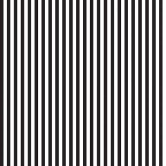 quarter inch black and white stripe fabric