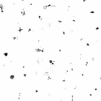 Betty || Motley Giucy Giuce