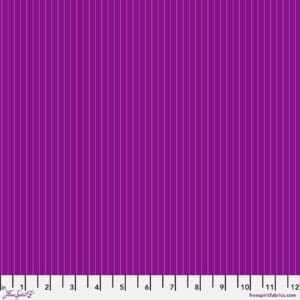 tiny stripes aster