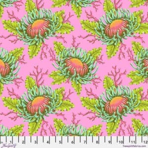CORALLINE